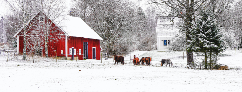 ville su&eacute;doise sous la neige